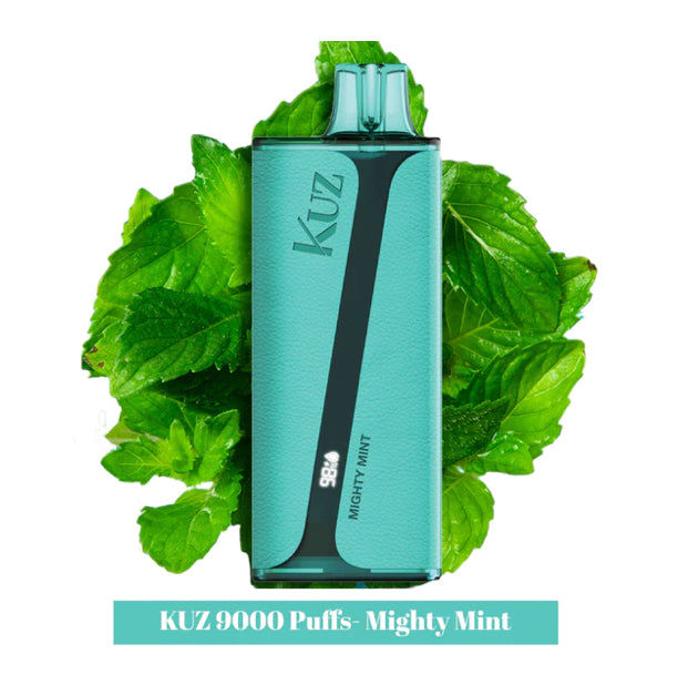 Hyppe KUZ 9000 PUFF Rechargeable Vape – Almond Smoke Shop